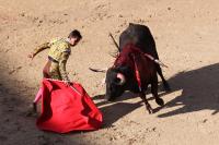 Bullfighting