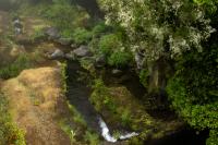 Madeira- landscape