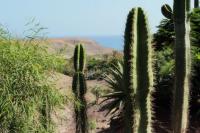 Fuerteventura  