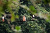 Sri Lanka Landscape