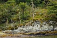 Patagonia -landscape