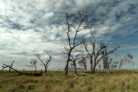 Tanzania - LANDSCAPE