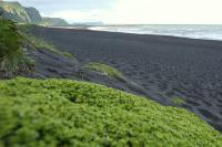 Iceland - landscape