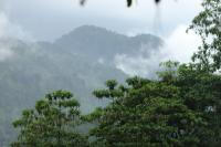 Sri Lanka Landscape