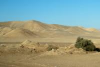 Egypt LANDSCAPE