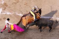 Bullfighting