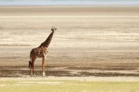 Tanzania - LANDSCAPE