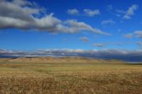 Gobi Desert