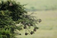 South Africa-landscape