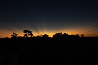 Botswana - landscape