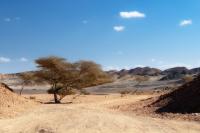 Egypt LANDSCAPE