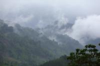 Sri Lanka Landscape