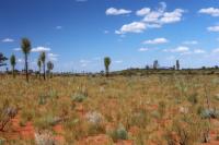 Australia - landscape