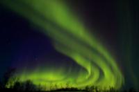 Northern Lights (Aurora borealis)