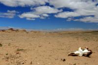 Gobi Desert