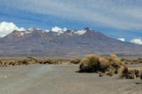 Landscape North Island