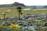 ETHIOPIA-landscape