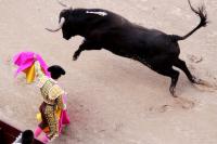 Bullfighting