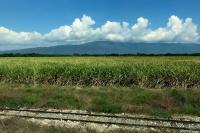 Dominican Republic  LANDSCAPE