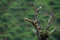 Costa Rica landscape