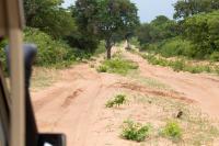 Botswana - landscape