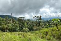 ECUADOR LANDSCAPE