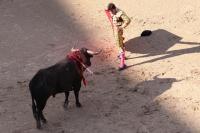 Bullfighting