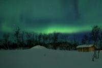 Northern Lights (Aurora borealis)