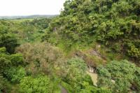 Costa Rica landscape