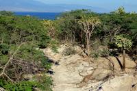 Dominican Republic  LANDSCAPE