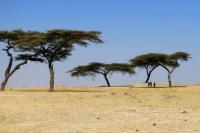 ETHIOPIA-landscape