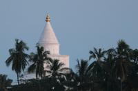 Sri Lanka Landscape