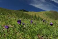 Mongolia - landscape