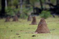 Australia - landscape