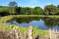 Dominican Republic  LANDSCAPE