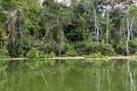 ECUADOR LANDSCAPE