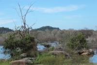 Sri Lanka Landscape