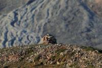 Spitsbergen landscape (July)