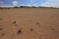 Gobi Desert