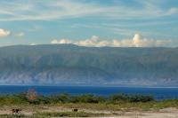 Dominican Republic  LANDSCAPE