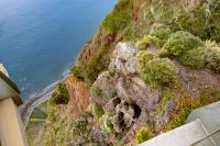 Madeira- landscape