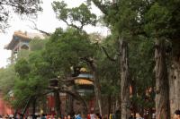 The Forbidden city