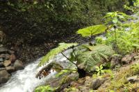 Costa Rica landscape