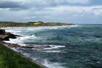 Scotland landscape and fauna