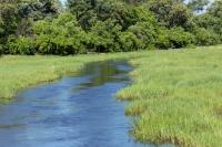 Botswana - landscape