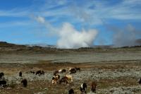 ETHIOPIA-landscape