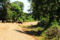 ETHIOPIA-landscape