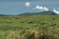 Tanzania - LANDSCAPE