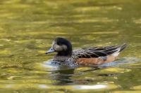 London-St James's Park