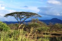 ETHIOPIA-landscape